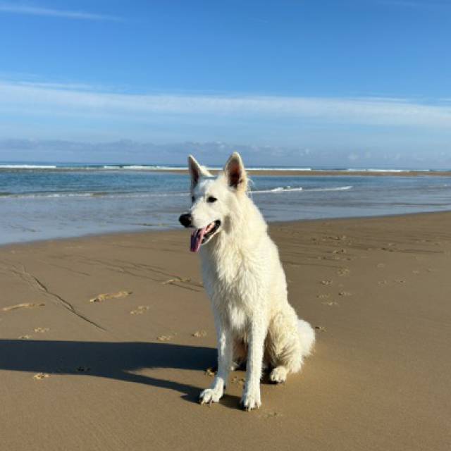 Duncan of White Friends – Fam. Tiesler | DE